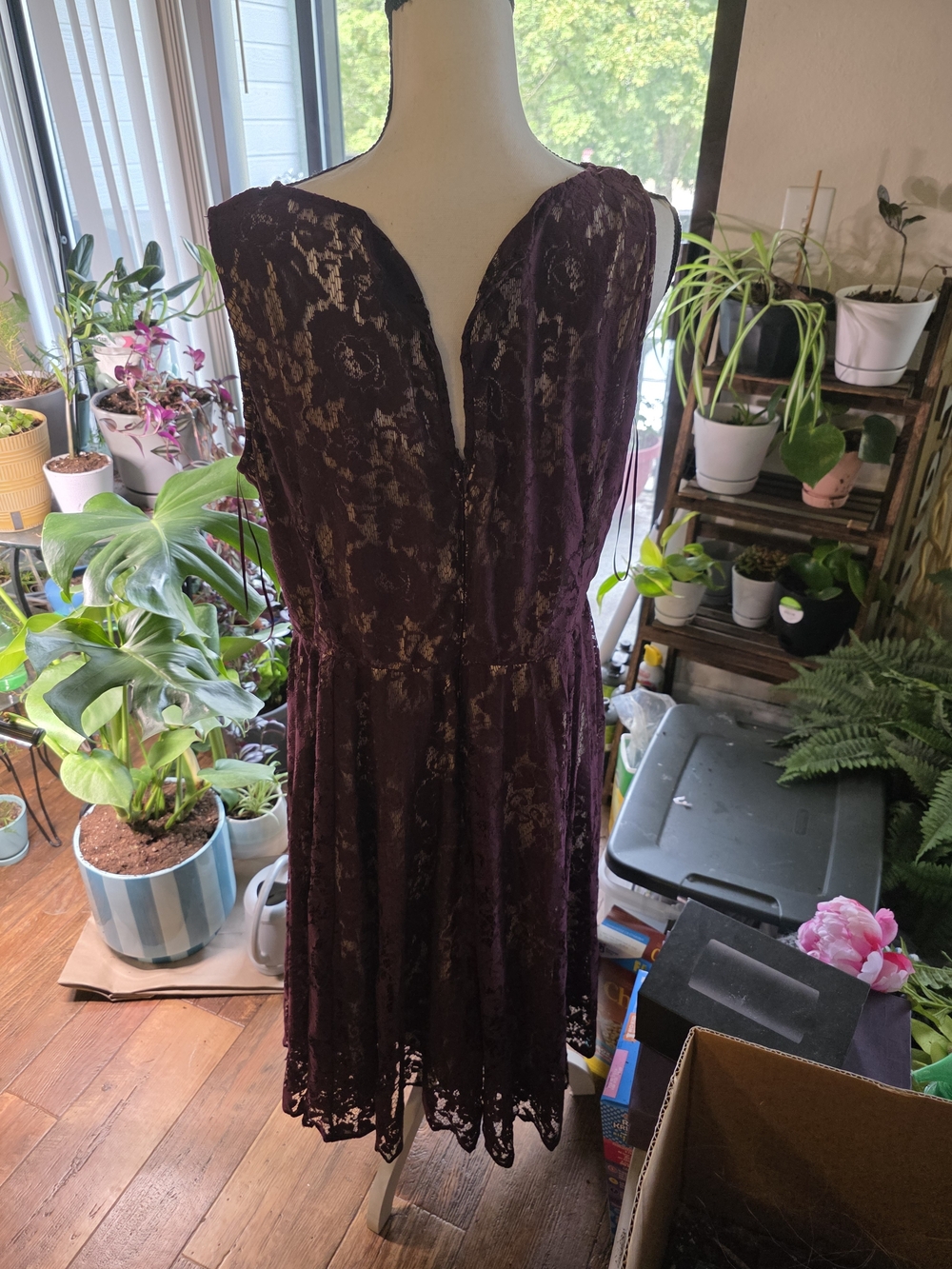 Lane Bryant Plum Lace Sleeveless A-Line Dress